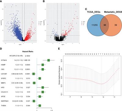 Construction of a prognostic signature associated with liver metastases for prognosis and immune response prediction in colorectal cancer